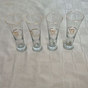Elegant Gold Rimmed Pilsner Glass Set